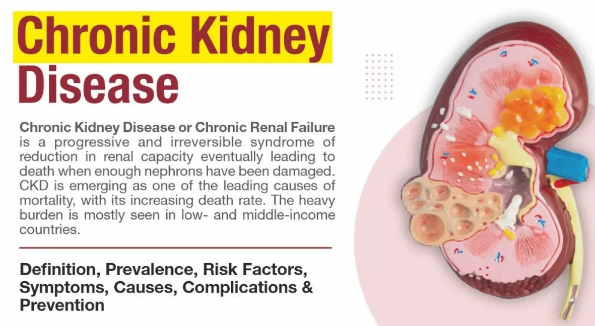 Chronic Kidney Disease - Symptoms, Stages, Causes, Complications, Prevention