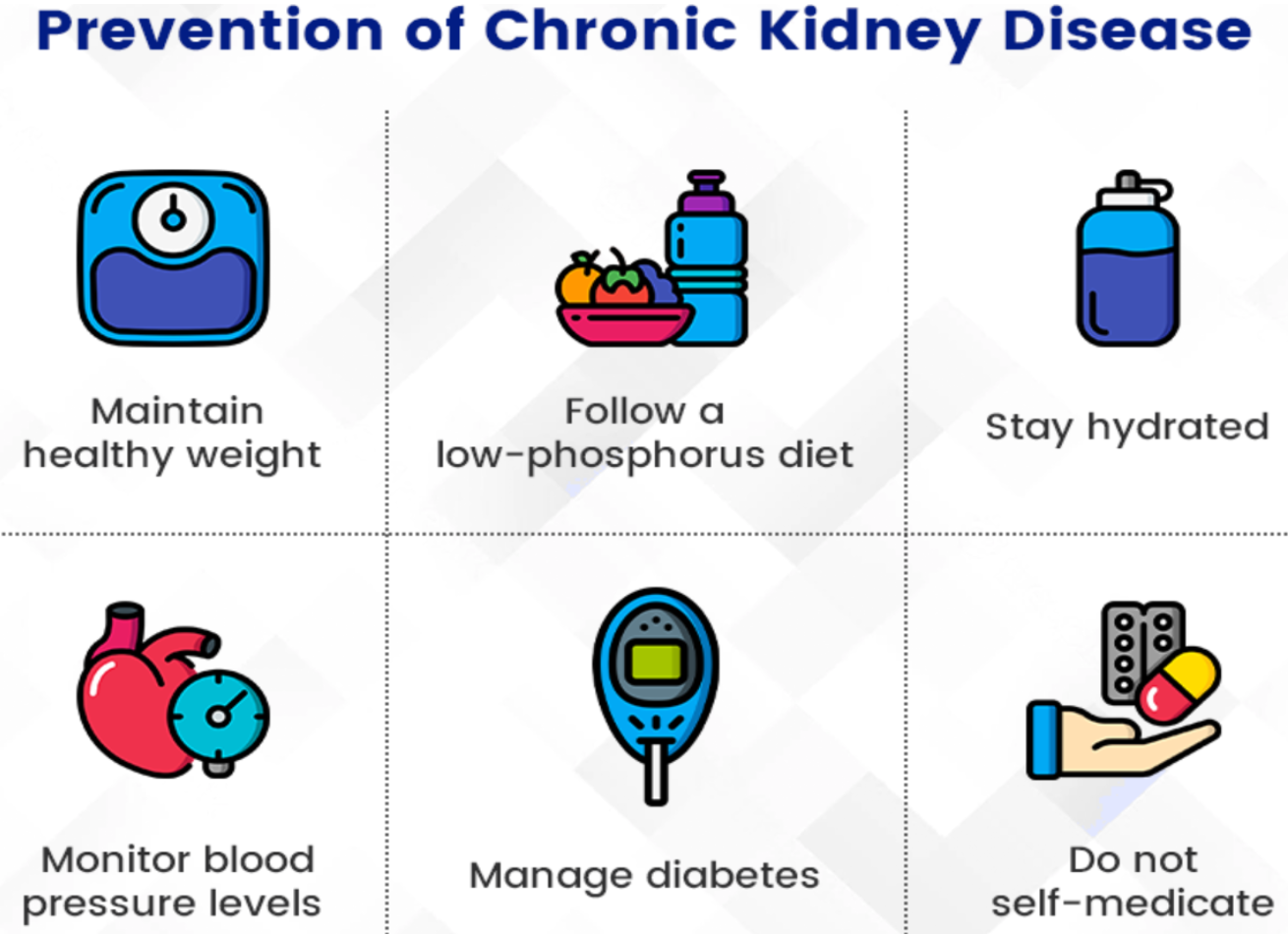 7 Ways to Prevent Chronic Kidney Disease in Seniors