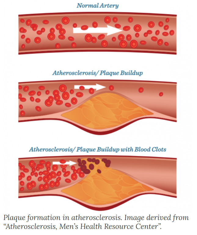 1767802193584555.png image.png